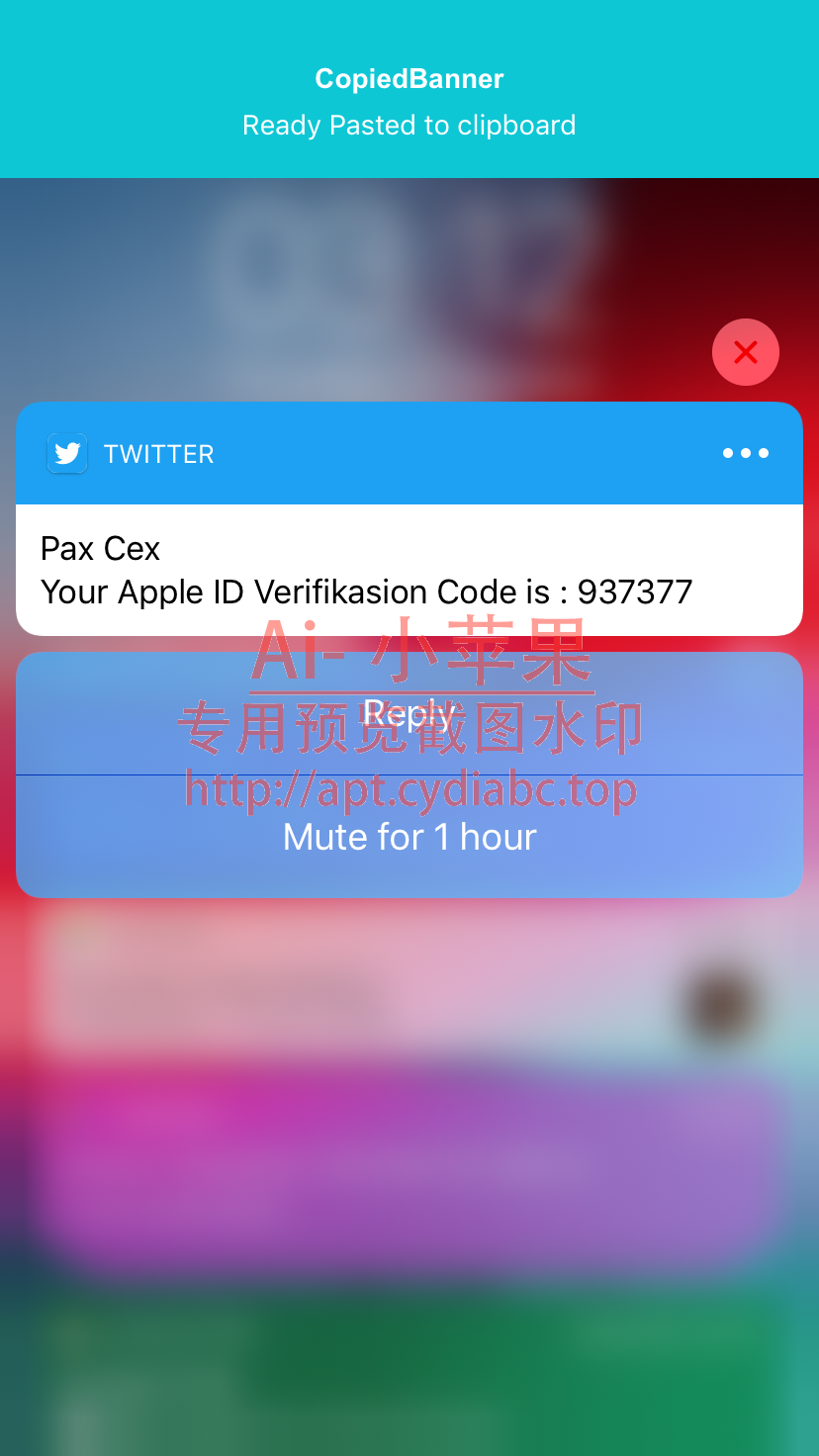 预览图片