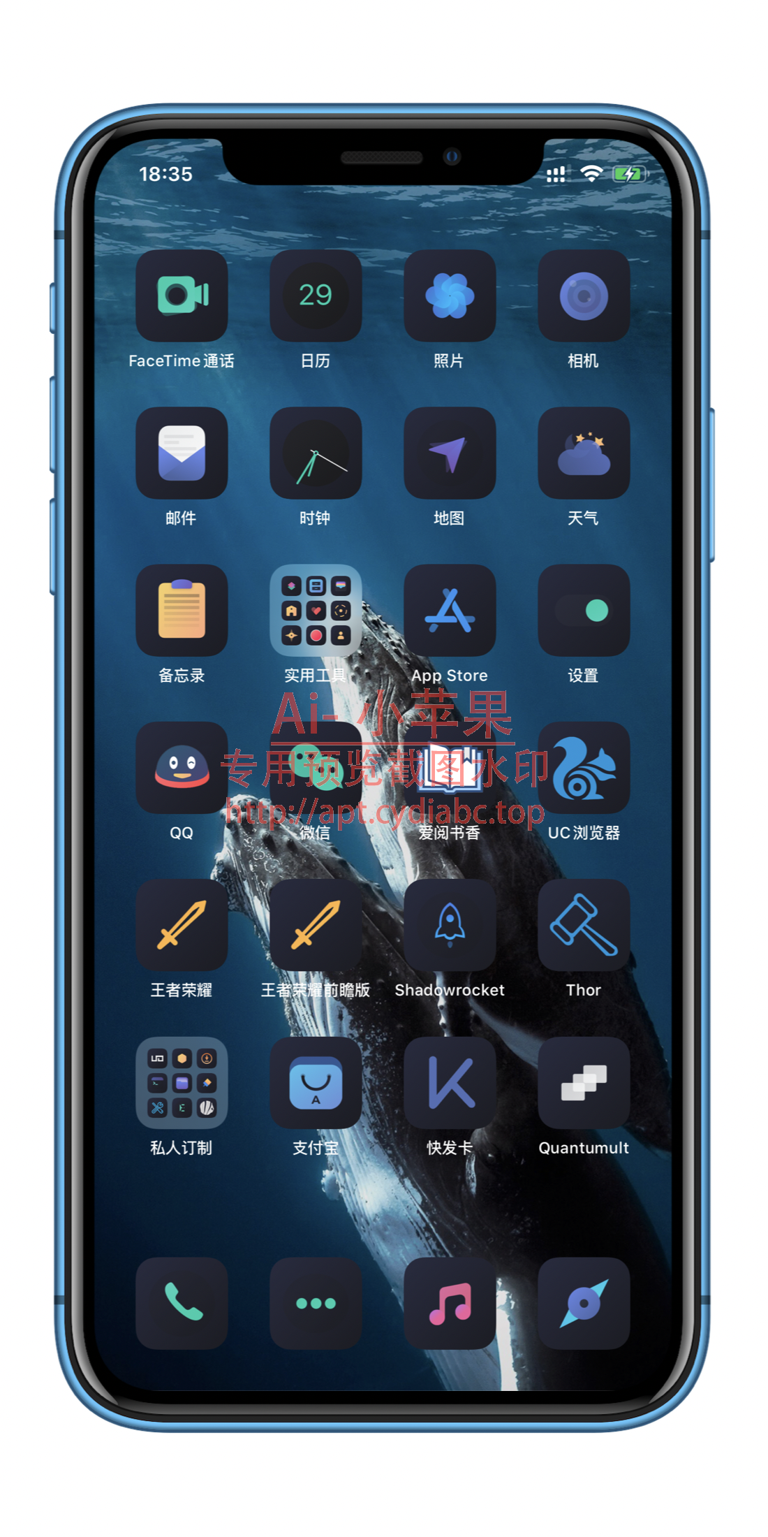 预览图片