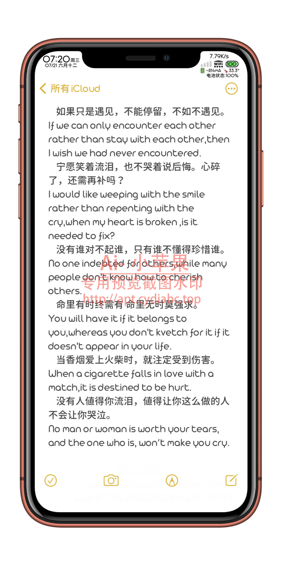 预览图片
